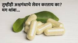 आरोग्याला फायदेशीर म्हणून तुम्हीही अश्वगंधाचे सेवन करताय का? थांबा! आधी जाणून घ्या अश्वगंधा कोणी खाऊ नये?