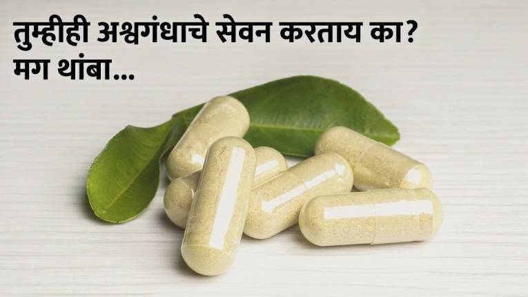 आरोग्याला फायदेशीर म्हणून तुम्हीही अश्वगंधाचे सेवन करताय का? थांबा! आधी जाणून घ्या अश्वगंधा कोणी खाऊ नये?