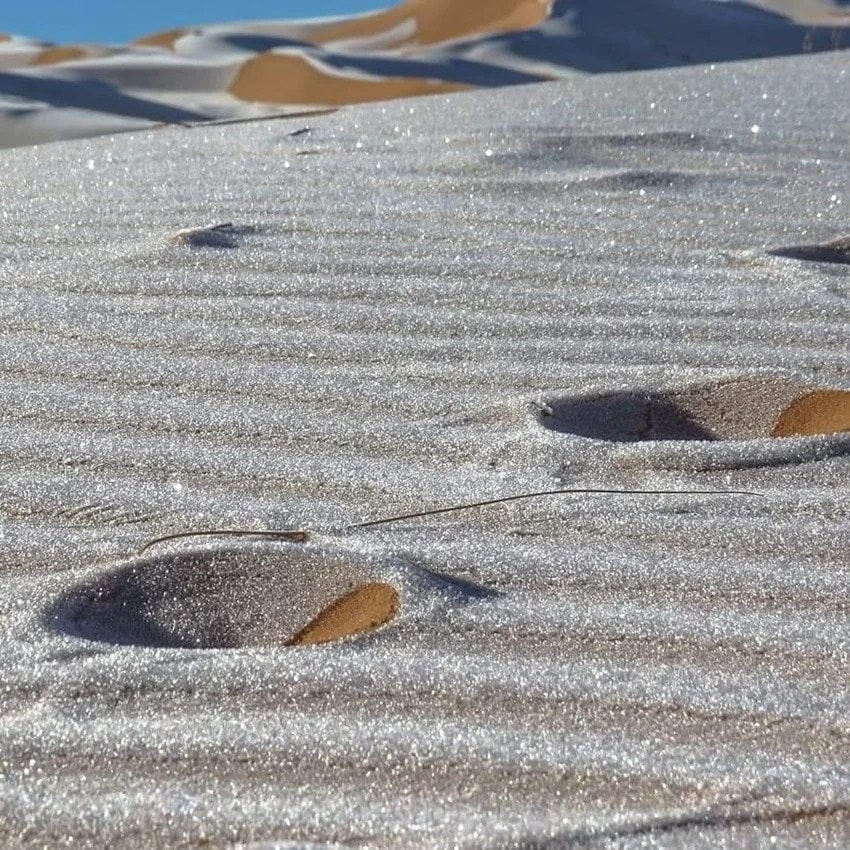 desert 