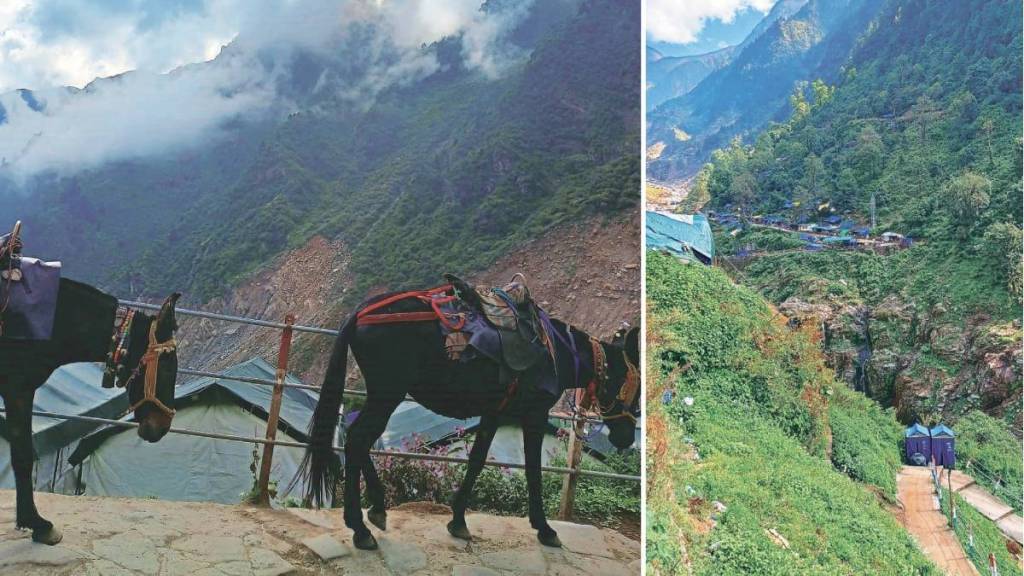 Yatra to Kedarnath, Badrinath