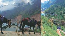 बालमैफल: आमची केदारनाथ, बद्रीनाथची यात्रा