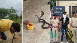 प्रसिद्धीसाठी काय पण! सापाचा वाढदिवस साजरा करत सोशल मीडियावर टाकला व्हिडीओ, पोलिसांनी घडवली अद्दल