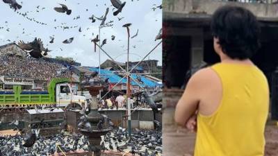 “लोकांना अक्कल नाही…” दादरच्या कबुतरखान्याबद्दल मराठी अभिनेत्याचा संताप, म्हणाला…