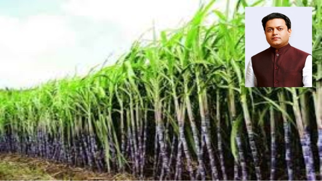 sugarcane-harvesting-machines-replace-manual-labour-in-maharashtra amit deshmukh