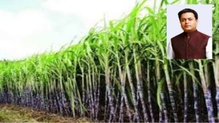 sugarcane-harvesting-machines-replace-manual-labour-in-maharashtra amit deshmukh