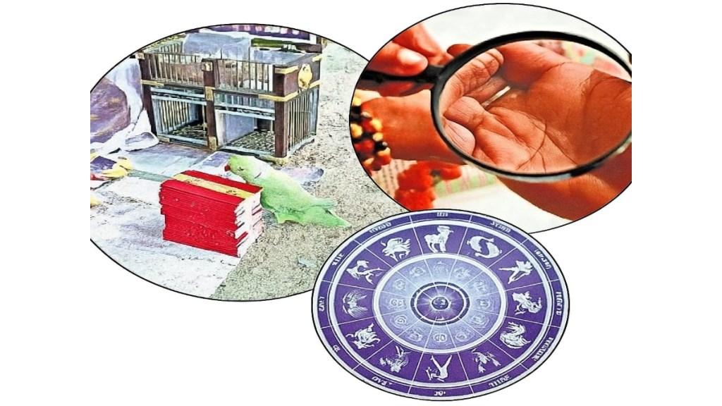astrology market in india