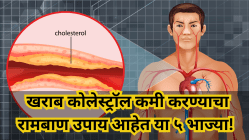 खराब कोलेस्ट्रॉल कमी करण्याचा रामबाण उपाय आहेत या ५ भाज्या! रोज एक भाजी खा, औषधासारखे काम करेल अन् हृदय राहील निरोगी