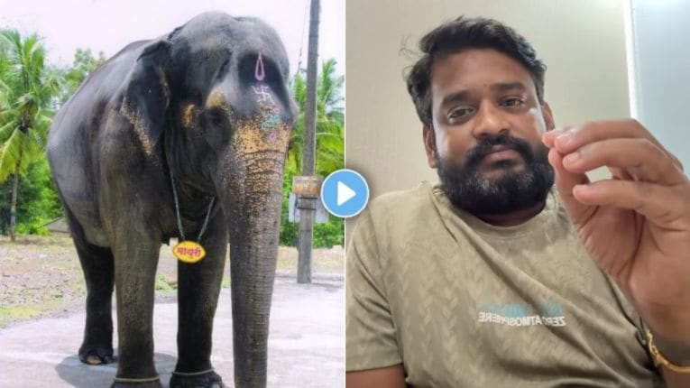 आता थांबायचं नाय! कोल्हापूरच्या महादेवी हत्तीणीसाठी धनंजय पोवारने केली ‘ही’ कृती, चाहत्यांनाही मदतीचं आवाहन