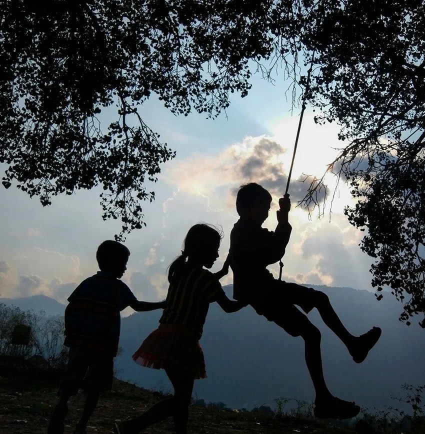 peepal tree beliefs vs science why sleeping beneath it at night is risky