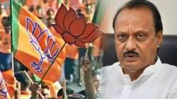 Municipal Elections 2025: भोसरीत भाजप-राष्ट्रवादी अजित पवार गटामध्येच लढत?