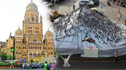 कबुतर खान्यावरील कारवाईमुळे जैन समाज भाजपवर नाराज
