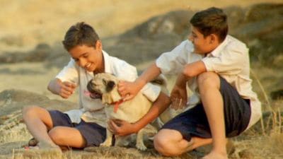 ‘या’ बॉलीवूड चित्रपटांत आहे माणूस आणि श्वानांचं खास नातं, तुम्ही पाहिलेत का?
