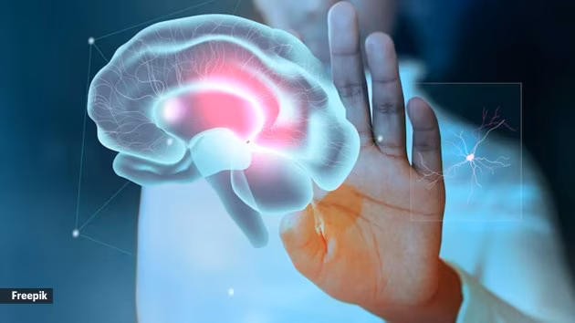 Left-right confusion, Ananya Panday, neurological explanation