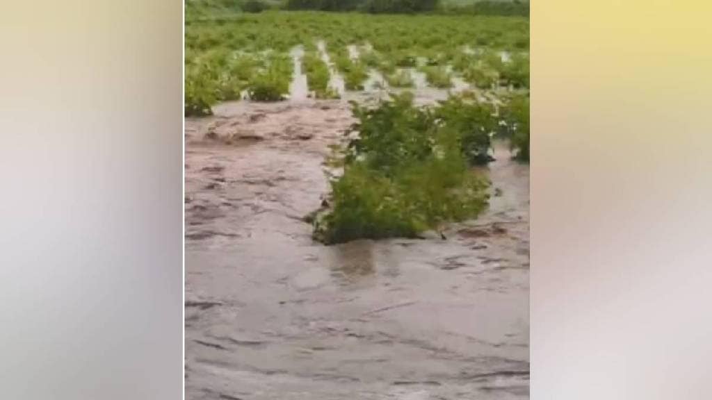 lake burst due to increased water pressure due to heavy rain in Sindkhed Raja taluka buldhana