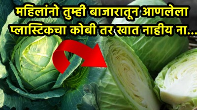 महिलांनो बाजारात मिळतोय प्लास्टिकचा कोबी! विकत घेण्याआधी ही गोष्ट करून पाहा…