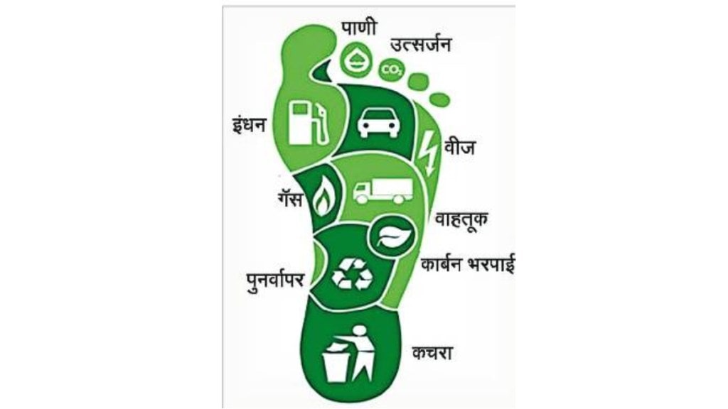 carbon solutions from nature