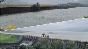 pavana dam rain news loksatta