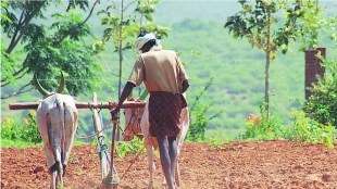 Panand roads