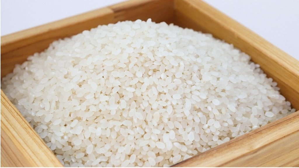 Ambemohar rice rate