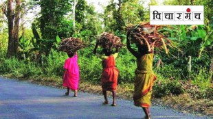 water jungle land for tribals