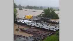 मराठवाड्यात पावसामुळे जनजीवन विस्कळीत, पाण्याच्या वेढ्यात चार गावांत २९३ नागरिक अडकले