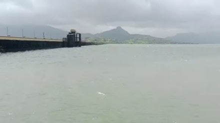 pavana dam latest marathi news