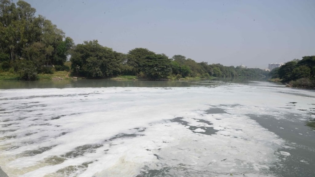 pavana river pollution news in marathi
