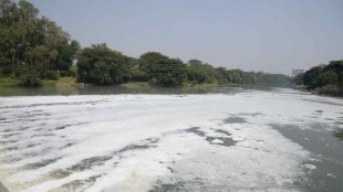 pavana river pollution news in marathi