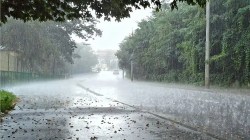 सोलापुरात पाऊस थांबला, पुराचा विळखा कायम; महामार्ग ठप्प, रेल्वे सेवा विस्कळीत; मदतीचे कार्य सुरू