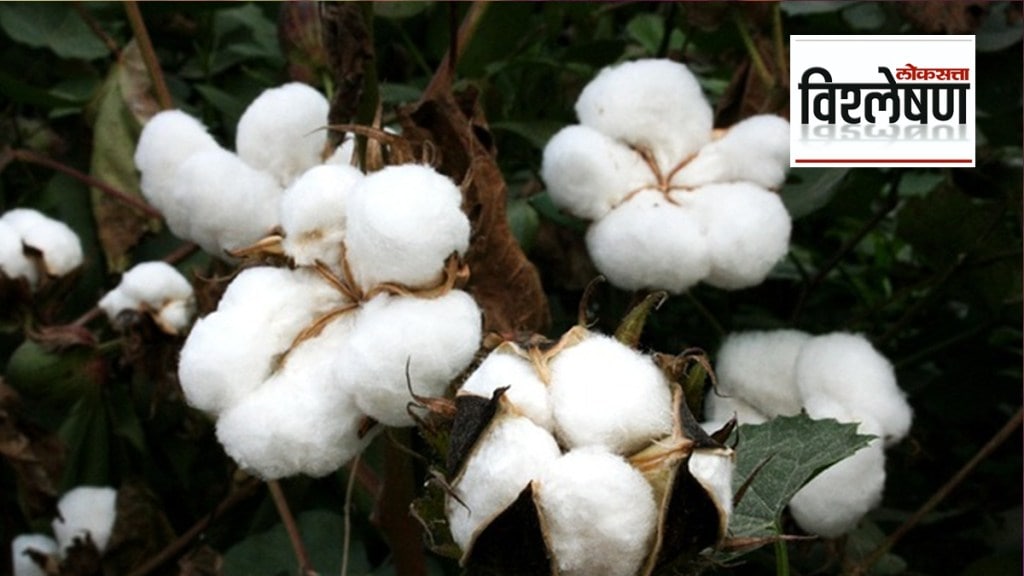 Indian cotton economy
