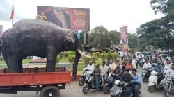 ‘महादेवी’साठी हत्तीच्या प्रतिकृतीसह दुचाकी रॅली; विविध सामाजिक संघटना, नागरिक, युवकांचा सहभाग