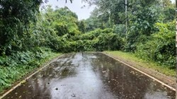 Sindhudurg Rain : ​सिंधुदुर्ग जिल्ह्यात मुसळधार पाऊस; गड आणि वाघोटन नदी इशारा पातळी ओलांडण्याची शक्यता