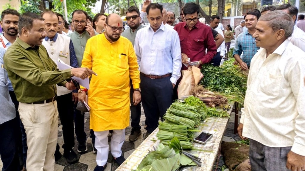 wild vegetable festival jalgaon news in marathi