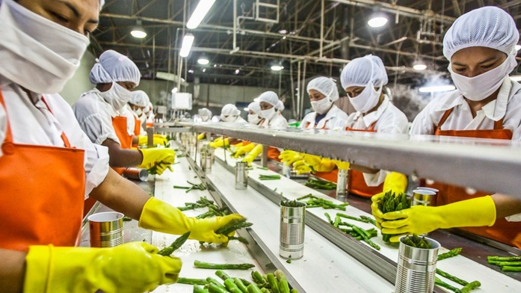food processing sector