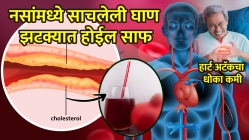नसांमध्ये साचलेली घाण झटक्यात होईल साफ, कोलेस्ट्रॉलही होईल कमी, फक्त लाल रंगाची ‘ही’ गोष्ट रोज खा; डॉक्टरांनीच सांगितली महत्त्वाची माहिती