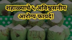 रोज ५० रुपयांच्या शहाळाचं पाणी प्या अन् कमाल पाहा! सर्वात स्वस्त सुपरफूडचे ५ अविश्वसनीय आरोग्य फायदे