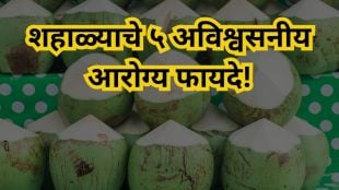Raw Coconut health benefits