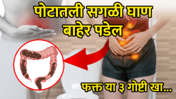 पोटातील सगळी घाण होईल लगेच साफ, गॅसही होणार नाही; फक्त ‘या’ ३ गोष्टी खा, आतड्यांमध्ये वाढतील चांगले बॅक्टेरिया