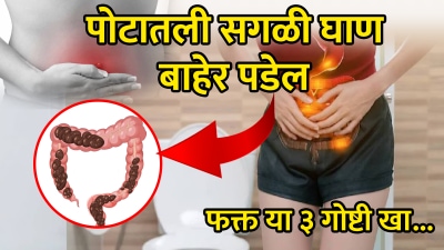 पोटातील सगळी घाण होईल लगेच साफ, गॅसही होणार नाही; फक्त ‘या’ ३ गोष्टी खा…