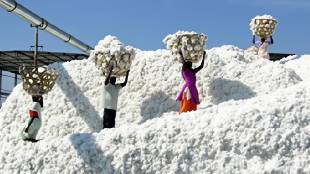 Ginning industry in Khandesh is in trouble due to increase in import duty by central government