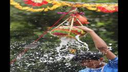 दहीहंडी सराव करताना ११ वर्षीय मुलाचा मृत्यू; ६ व्या थरावरून कोसळून अपघात
