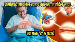 नसांमध्ये साचलेलं खराब कोलेस्ट्रॉल एका झटक्यात काढतील ‘हे’ पदार्थ; रोज ‘असा’ करा वापर