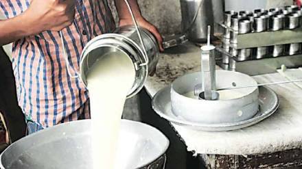 मातीतलं करिअर: दुग्ध व्यवसायातील संधी (लोकसत्ता टिम) 