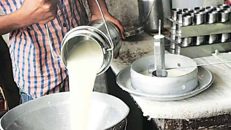 मातीतलं करिअर: दुग्ध व्यवसायातील संधी
