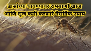 Martyr Agniveer Akshay Laxman Gawate