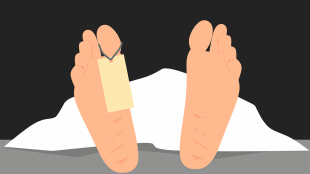 Akola heavy rain, Akola floods, Akot wall collapse, Maharashtra flood news, river flooding Akola,