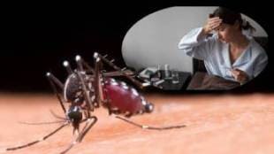 Increase in dengue cases in Pimpri Chinchwad pune print news