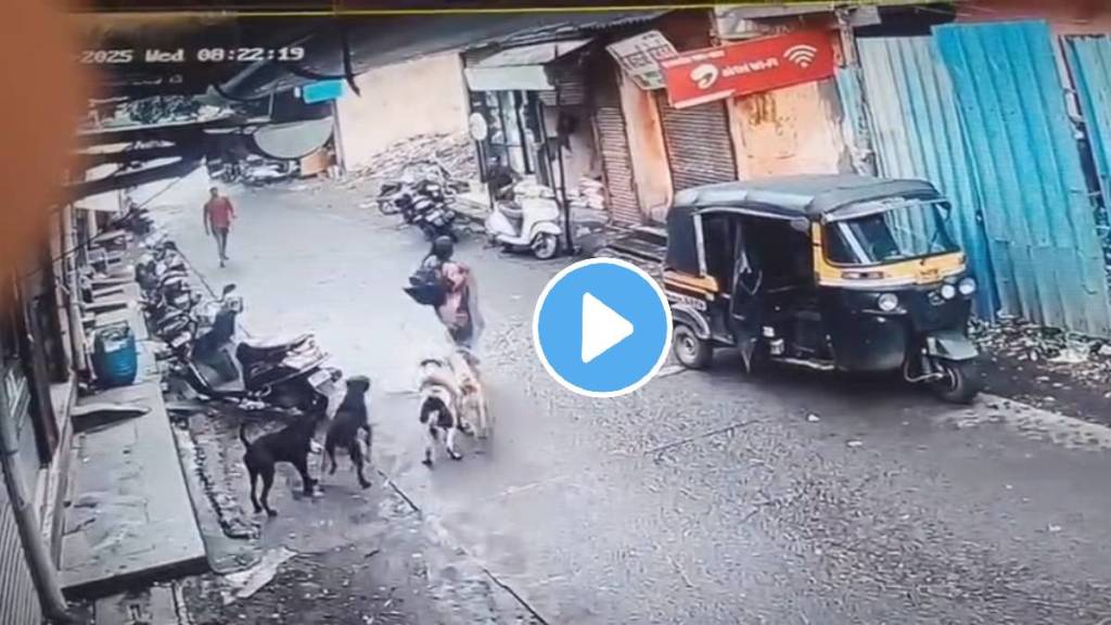 Stray dogs attack toddler in Ulhasnagar