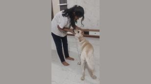YCMOU launches unique dog care and training certificate program in Nashik