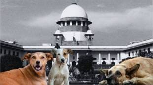 Supreme Court modifies delhi stray dogs